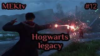 Стрим Hogwarts Legacy #12 | Полное Прохождение Хогвартс Легаси | Обзор Хогвартс Наследие