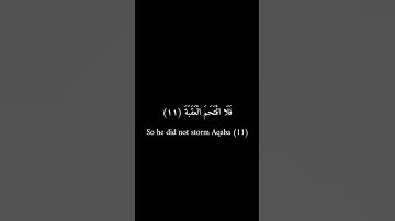 كرومات سوداء _ يوسف عيد _ سورة البلد #تلاوات #قرآن #قران_كريم