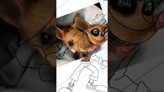 Crash Bandicoot En La Vida Real