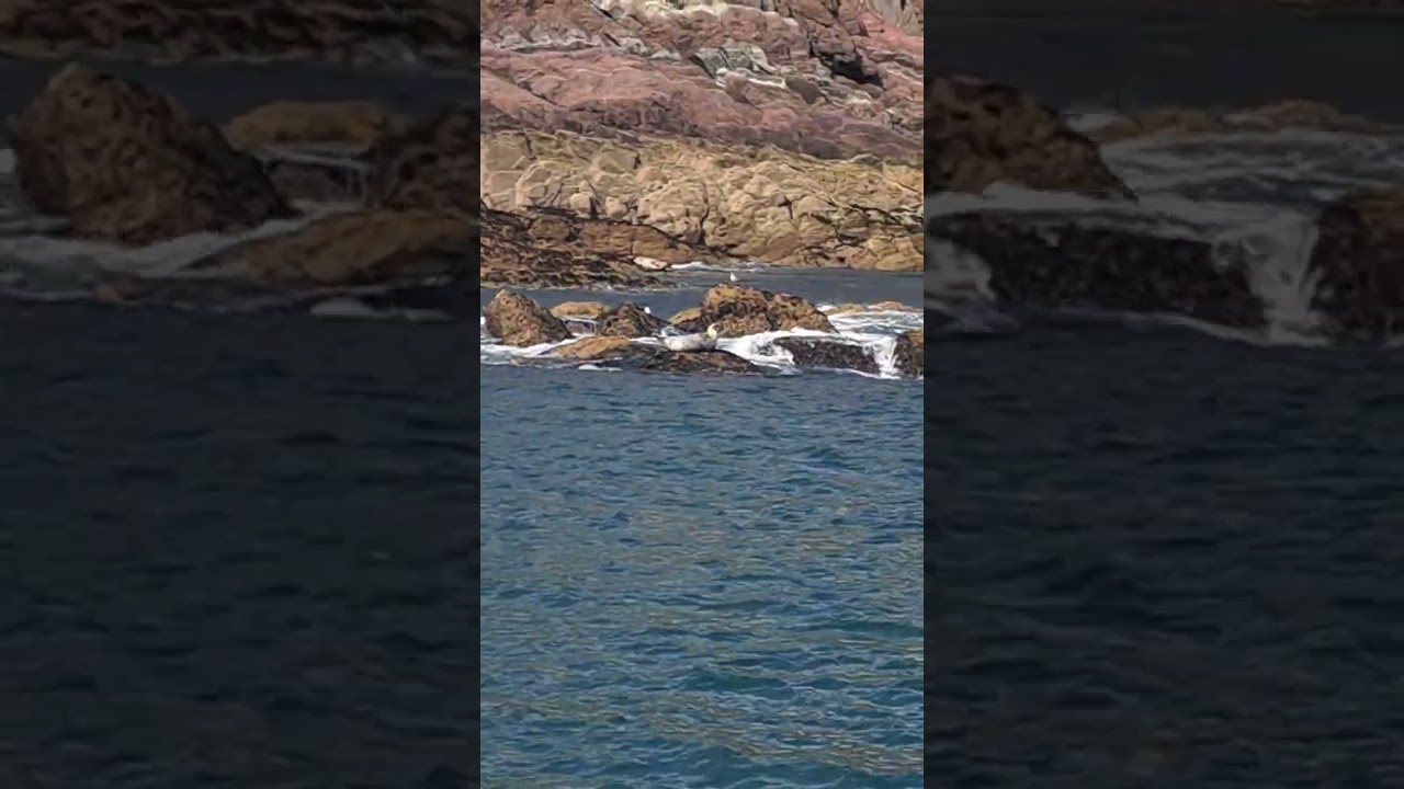 A WEEK IN SOUTH WALES 22ND JULY TO 29TH JULY 2023