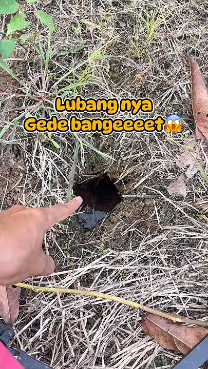 Horrible!!!😱I thought it was an eel hole, but it turns out this is a hole...😱😱 #fishing #fishing ...