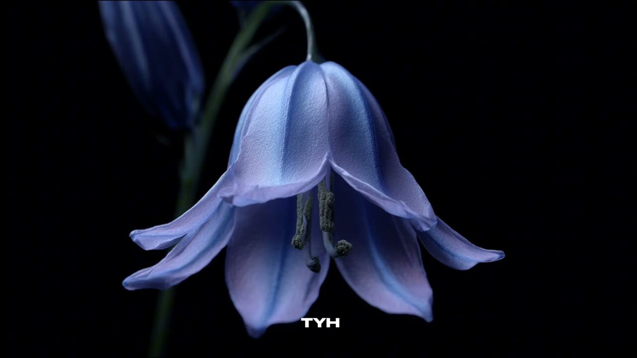 MEREY - BYESHESHEK (Lyrics Video)