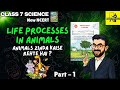 Life Processes in Animals | Class 7 Science 🧬 | PART 1 | NEW NCERT (CURIOSITY)