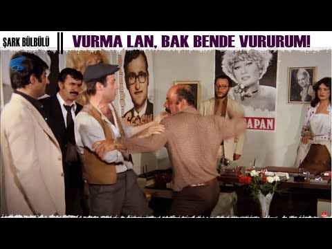 Şark Bülbülü | Şaban , Mazlum'un Yerine Dayak Yiyor!