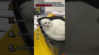 Top 6 Hilarious Cat Reactions 😂 #cat #reaction #cute #rank