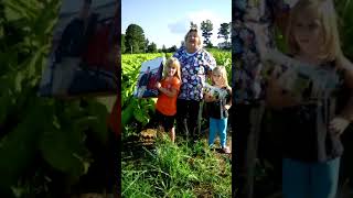 Farmer's wife Chip Starter Challenge