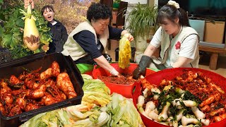 VLOG on Korean Kimchi Making Day😄Kimchi of cabbage, young radish, green onions🌶with mother in law