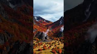 Magical Autumn in Japan 🍂 A Season That Feels Like a Dream