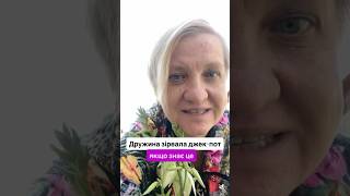 Про це не знає 90% жінок #стосунки #сімя #сімейнежиття #чоловікіжінка #чоловік #кохання #подарки