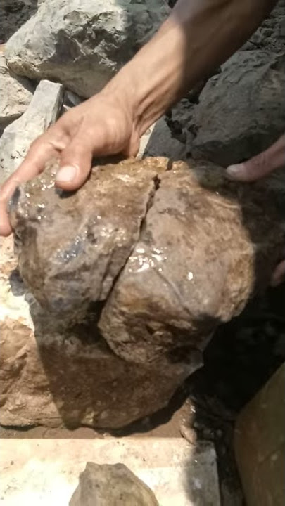 bahan kalimaya black opal banten kembang jarong bolder/bledug koral natural jumbo