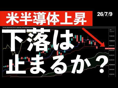 【米半導体株上昇】反発の理由！今日の米株動向と日本株の展望　#米国株 #日経平均 #sp500 #soxl #nvda