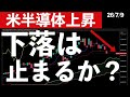 【米半導体株上昇】反発の理由!今日の米株動向と日本株の展望 #米国株 #日経平均 #sp500 #soxl #nvda