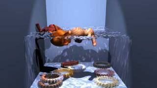 Rigid Body & Fluid Dynamics