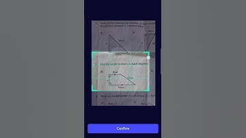 Open Tutor - Homework Helper AI mobile App