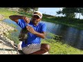 Fishing | Tilapia fishing | catching tilapia fishes