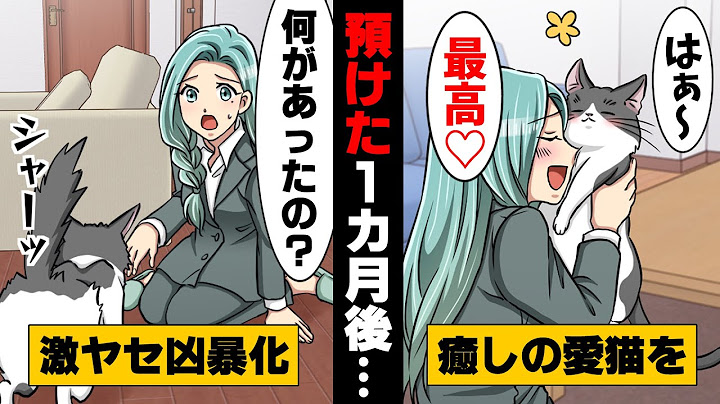 【漫画】「な、何で...！？」出張でペットの猫と1年離れ離れになる事に。しかし、兄家族に預けて１ヶ月後愛猫の様子が...！？→「ペットを理由に仕事を...」出張に行ってしまった結果...