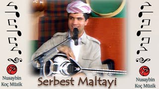 Serbest Maltayi Kasım Koç Show Govend Raks Cİda Halay ZIndi Live Canlı Resimi