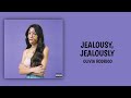 jealousy, jealously - Olivia Rodrigo (Cover by Kristen Papach)