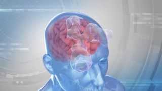 Brain Shuttle Transports Antibodies into the Brain over the Blood-Brain Barrier