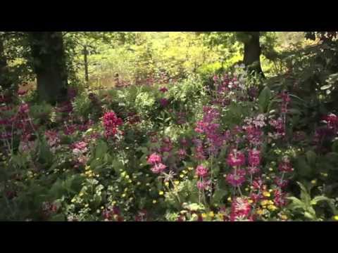 Video: Windsor Great Park - I giardini paesaggistici reali
