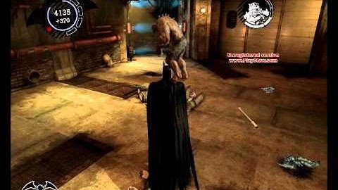 Batman Arkham Asylum (BUG) 0___0