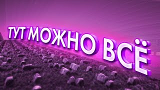 ЛУЧШАЯ АНАРХИЯ