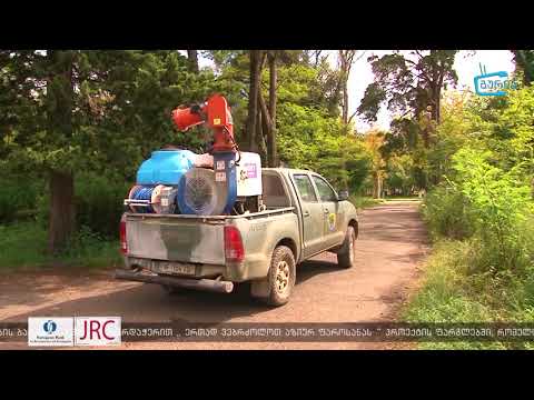 ბრძოლა აზიური ფაროსანას წინააღმდეგ