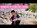 Best Cherry Blossom Spots in Tokyo 2021 | 東京の桜スポット