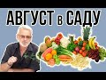 Садовые работы в АВГУСТЕ / Не забыть сделать в саду / Игорь Билевич