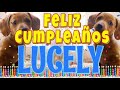 ¡Feliz Cumpleaños Lucely! (Perros hablando gracioso) ¡Muchas Felicidades Lucely!