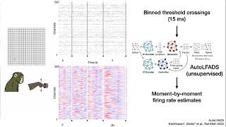 Neural Population Structure and Complexity | Chethan Pandarinath | NeuroFM Workshop Profile