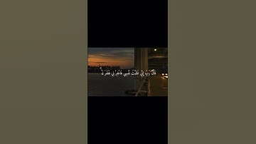 قرآن سورة القصص #قرآن #اكسبلور #المصحف #قران_كريم #قرآن_كريم
