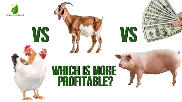 Chicken vs Goat vs Pig Farming – Which is the Most Profitable for Startups with Low Capital?