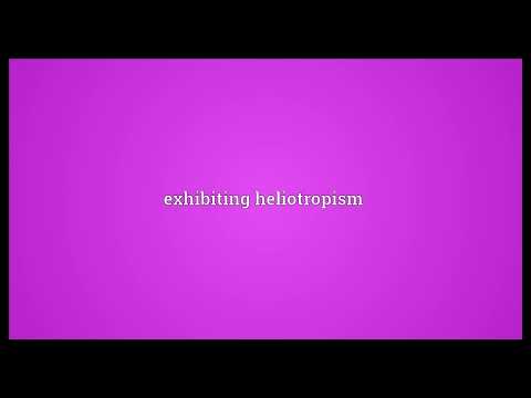 Vídeo: O que significa a palavra heliotrópico em inglês?