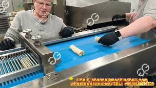 Fully Automatic Spring Roll Production Line with Frying Wealth