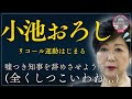 【小池おろし】リコール運動はじまる...東京都知事の「解職請求」に必要は署名数や条件は...? “PMは好評につき継続します” etc... #小池百合子 #リコール #プロジェクションマッピング