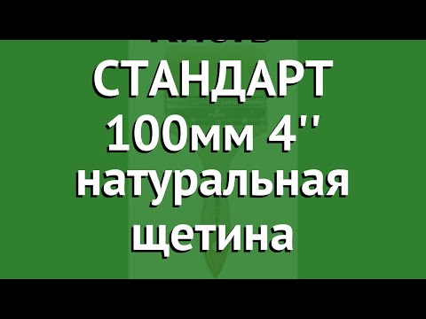 Кисть СТАНДАРТ 100мм 4 натуральная щетина (Вихрь) обзор 73/3/4/6 производитель Ресанта (Латвия)