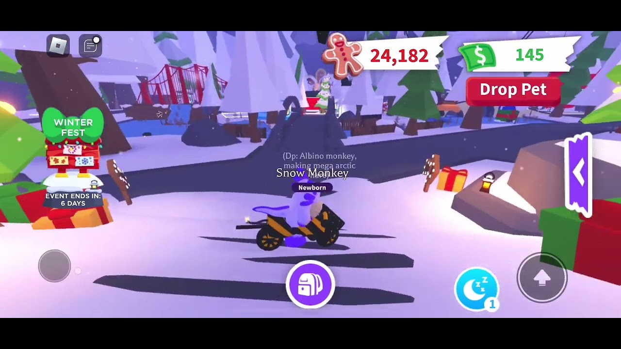 Winterfest Week 5 Update