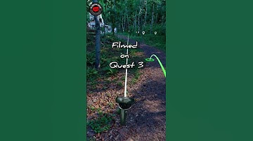 Forest - Oniri Tech Demo/Quest 3 Standalone Graphics Getting Close to PCVR? #metaquest3 #stunning