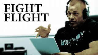 How to Control the Fight or Flight Response  Jocko Willink