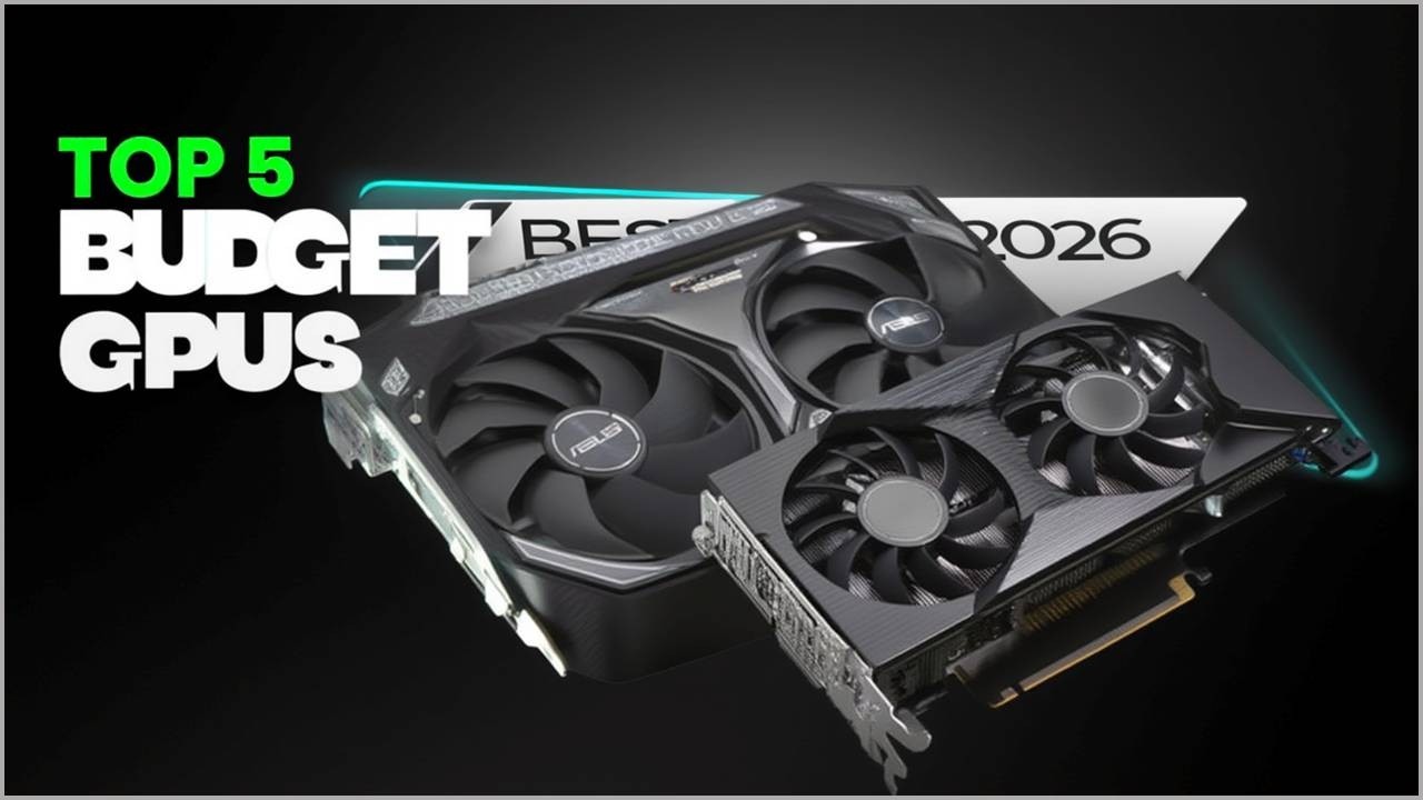 Top 5 BEST Budget Graphics Cards 2026 YouTube 