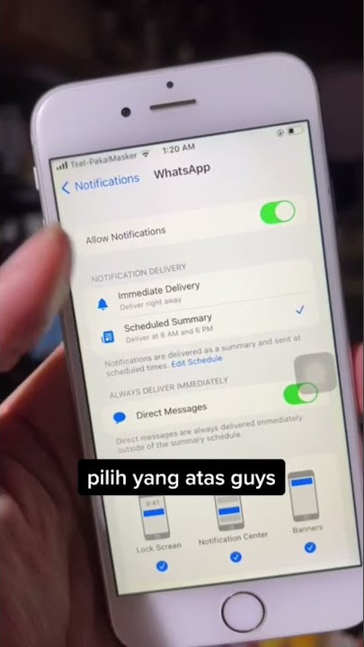 WA di iPhone gak ada notif? | PART 1
