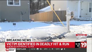 Name released of Elyria woman fatally struck by driver who thought he hit a deer Net Worth