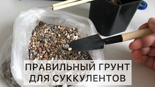 Правильный грунт для суккулентов