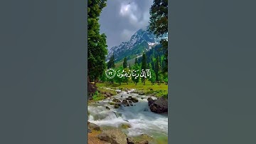 لا إله إلا الله #راحة_نفسية  #تلاوة_خاشعة 🤍🕊