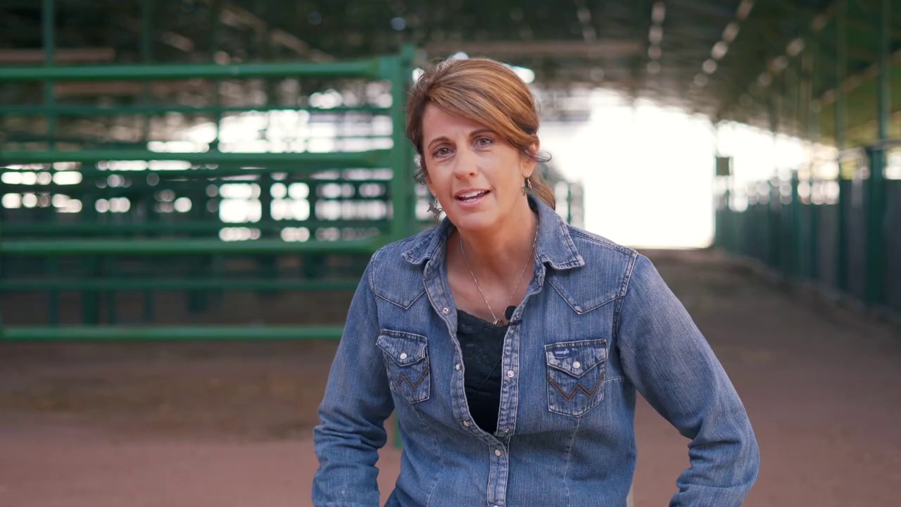 Verde Valley Fair Goes Virtual YouTube verde-valley-fair-goes-virtual-youtube