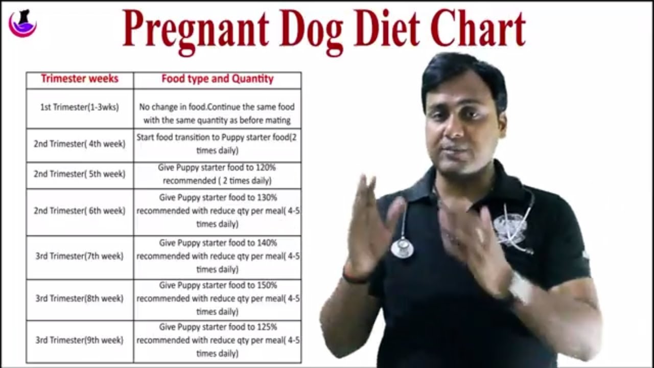 Dog Diet Chart