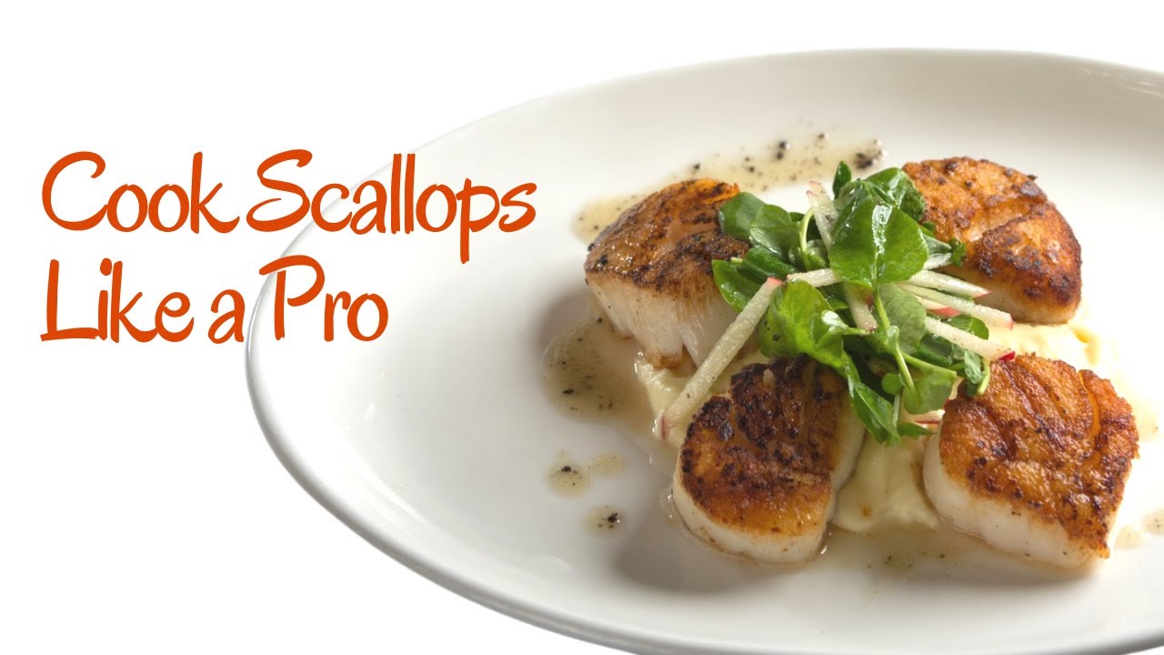How to Cook Scallops My Best Scallops Recipe YouTube