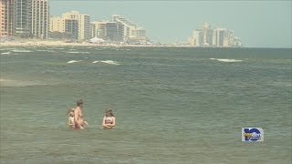 Swimmers brave Gulf despite double red flag, shark warnings