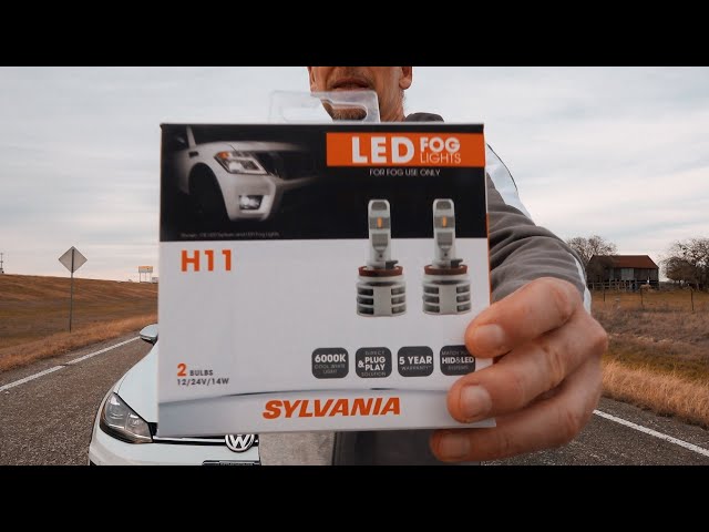 SYLVANIA H11 LED Fog & Powersports Bulb, 2 Pack